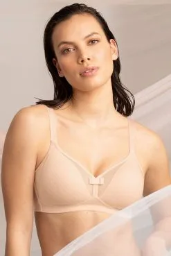 Rosa Faia Soft-BH Eve